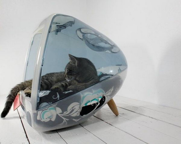 Cool Pet Bed Ideas. Unused stuff at your home can be recycled and turned into pet beds that looks packed yet stylish.