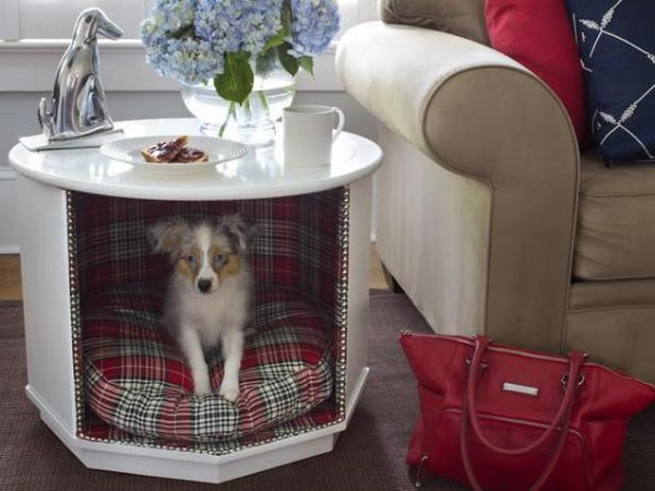 Cool Pet Bed Ideas. Unused stuff at your home can be recycled and turned into pet beds that looks packed yet stylish.