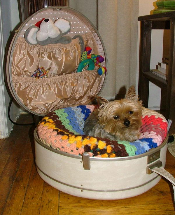 20 Cool Pet Bed Ideas 2023   5 Cool Pet Bed Ideas 