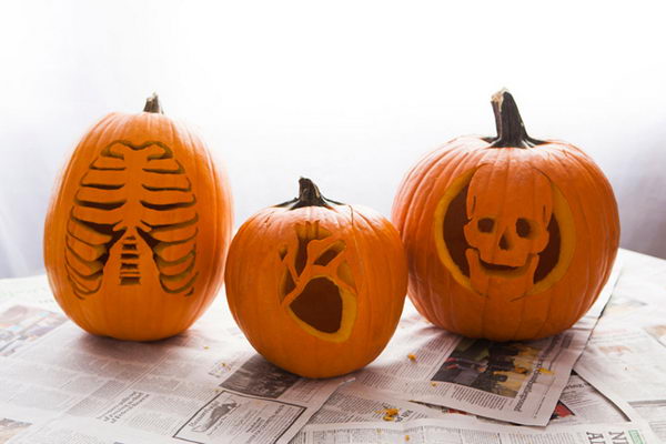 Anatomy Pumpkins.