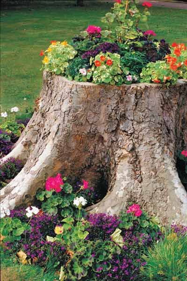 11 tree stump planter