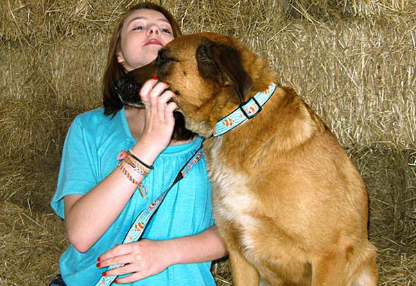 dog collar and leash. A fun and funky fashion statement for your pet.