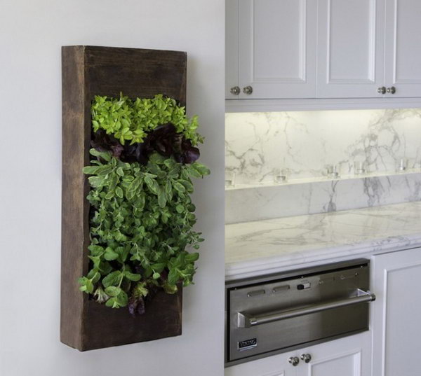 Wooden box kitchen herbs.