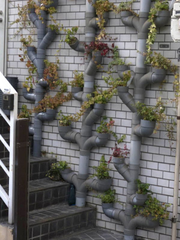 vertical gardening pipes plumbing repurpose cool garden plants grow gravity space