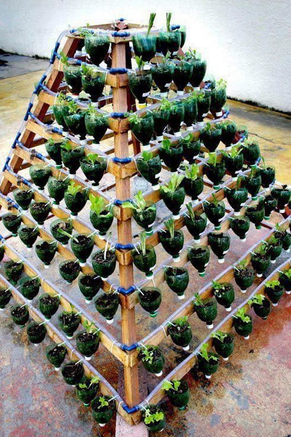 vertical garden vegetable gardening plastic bottles cool plants hative source grow space along