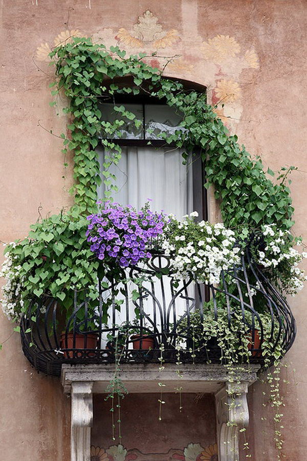 Balcony Garden Design Ideas - Hative