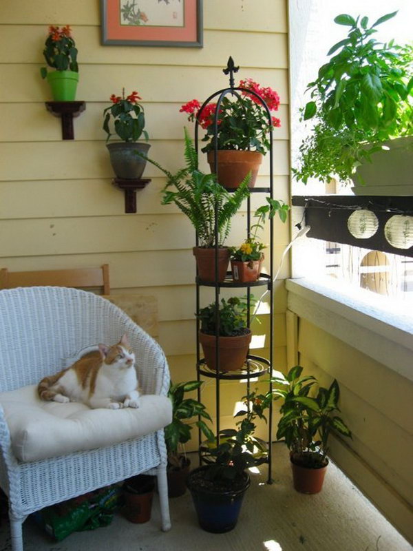 Balcony Garden Design Ideas - Hative