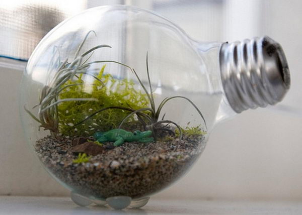 Creative Light Bulb DIY Idea. Instead of just throwing them away, repurpose them as some creative things.