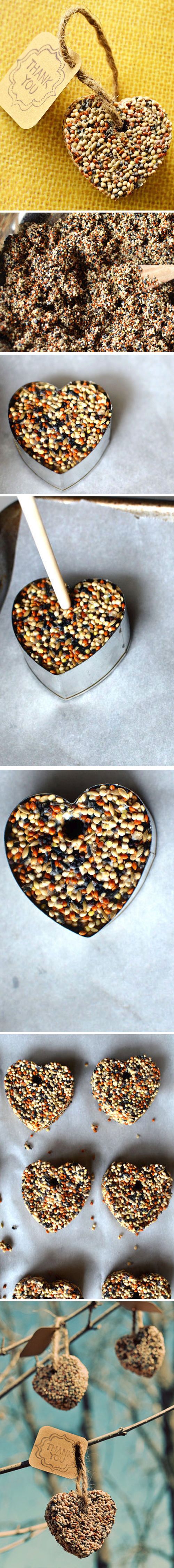 DIY Heart-shaped Birdseed Feeders