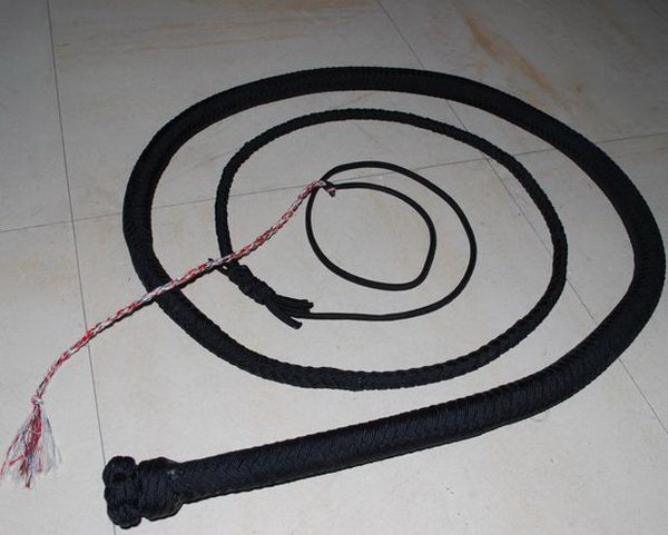 DIY Paracord BullWhip