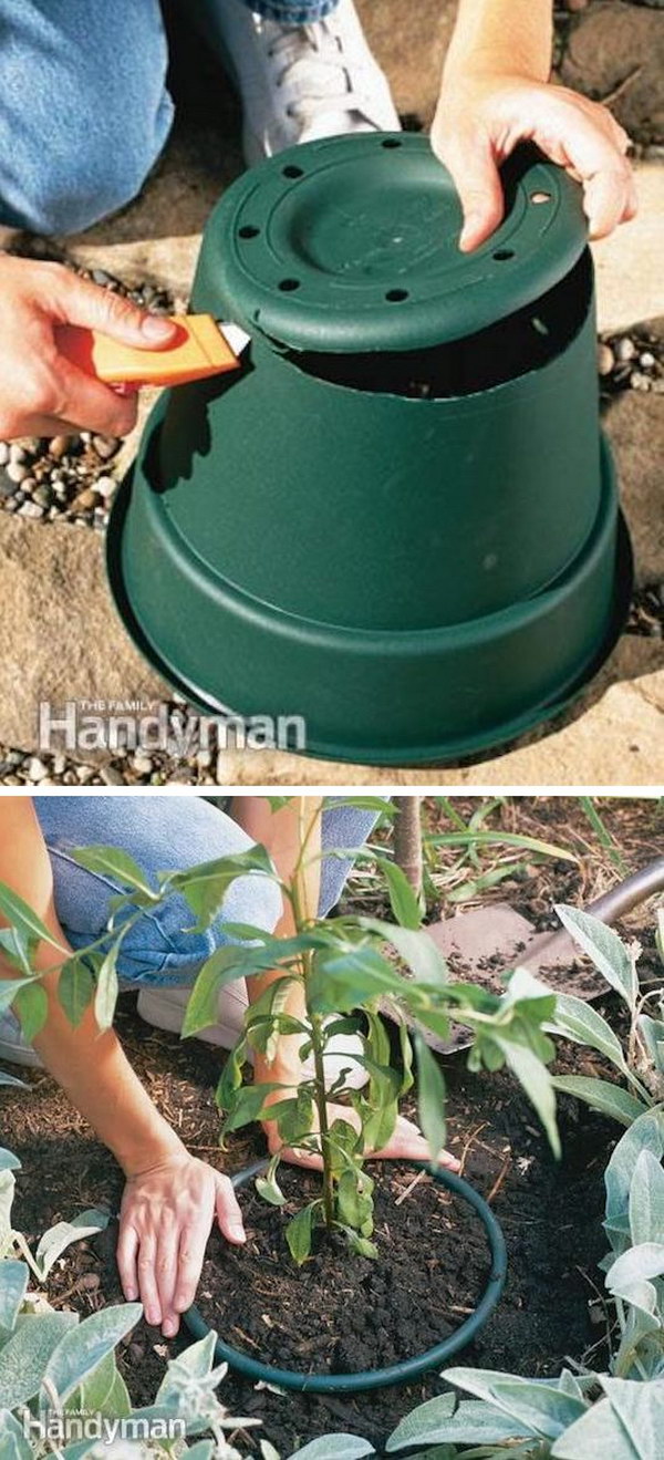 35+ Creative Garden Hacks & Tips That Every Gardener ...