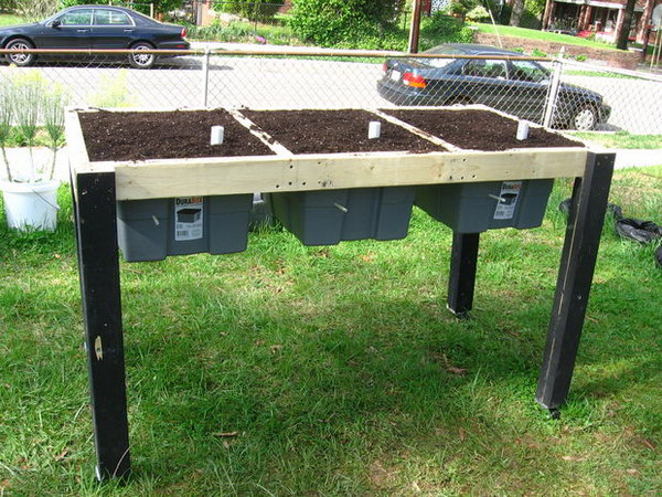 Self-Watering Salad Table. 