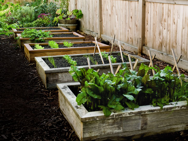 DIY Wooden Raised Garden Bed. 