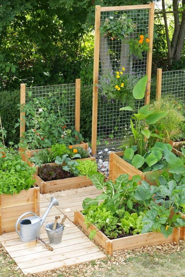 Raised Garden Beds With Trellis. 