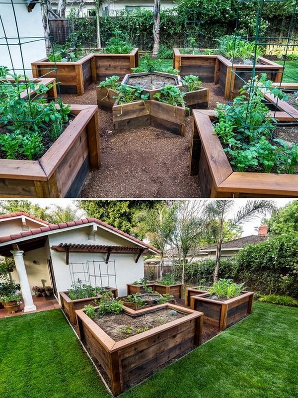  Raised bed garden in a small urban space with various vegetables