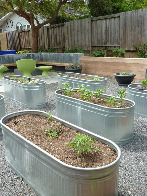 View Raised Bed Garden Arizona Background