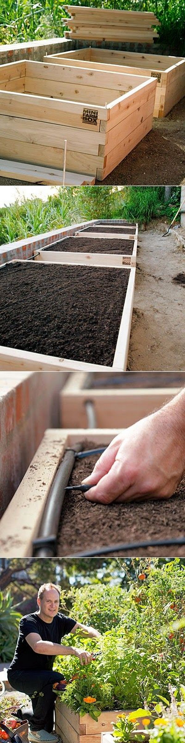 Self-Watering Raised-Bed Vegetable Garden. 