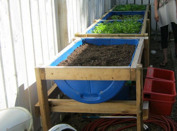 Upcycle 55 Gallon Drums for Raised Bed Gardens. 