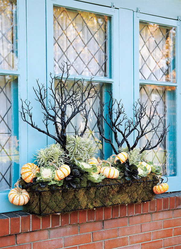 25 Creative Window Boxes Hative