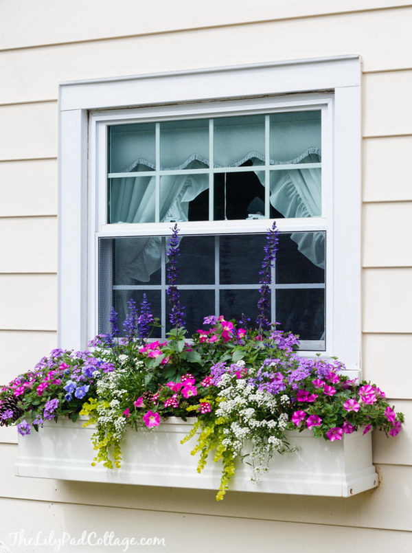 25 Creative Window Boxes - Hative