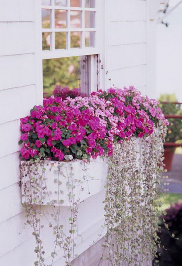 25 Creative Window Boxes Hative