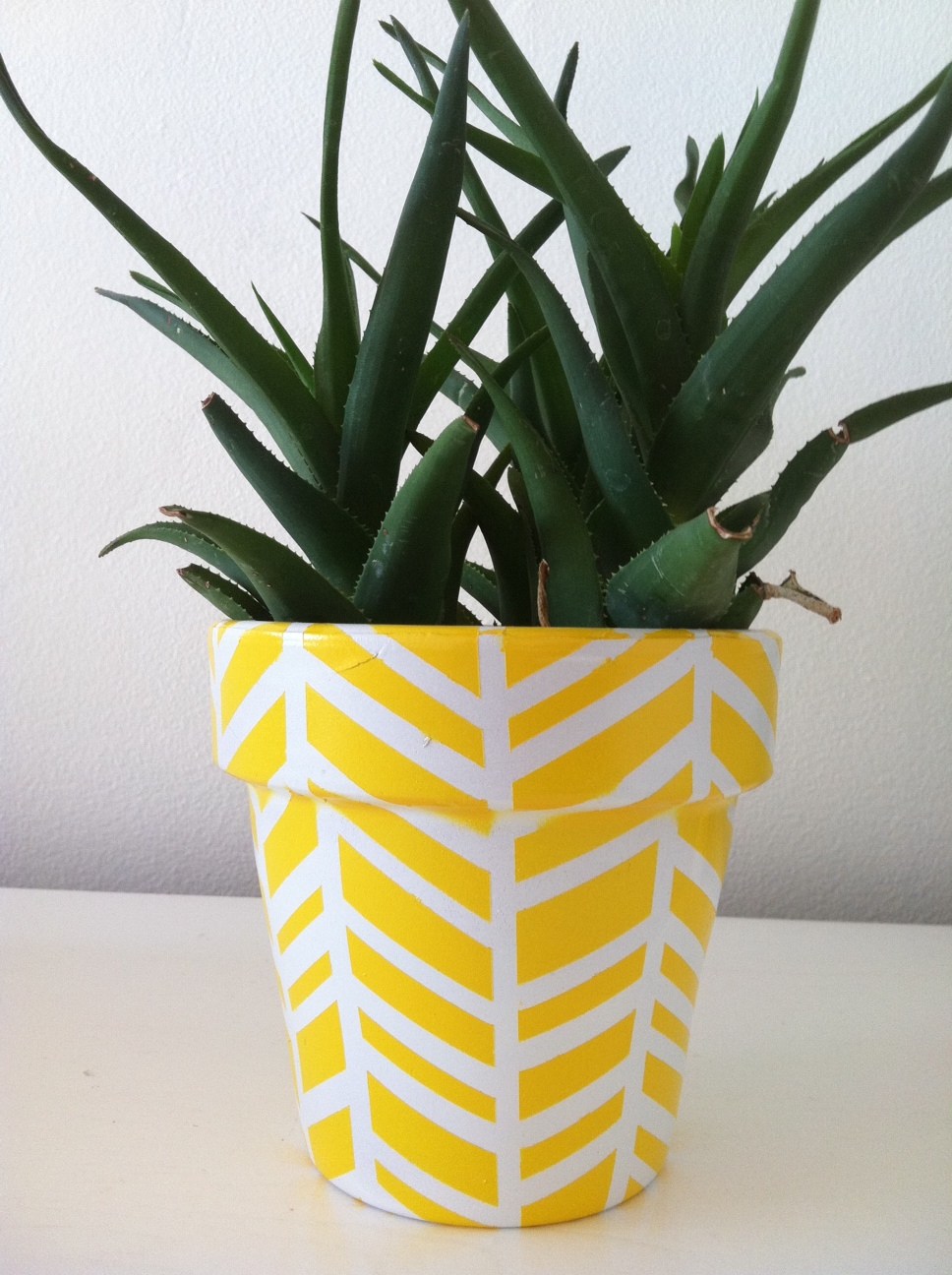 Beautify Your Home And Garden With These Awesome DIY Flower Pots - Hative