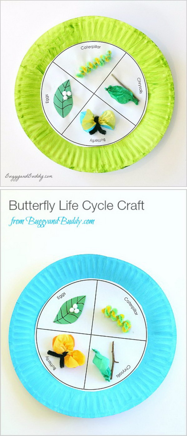 Life Cycle Projects for Kids 2023