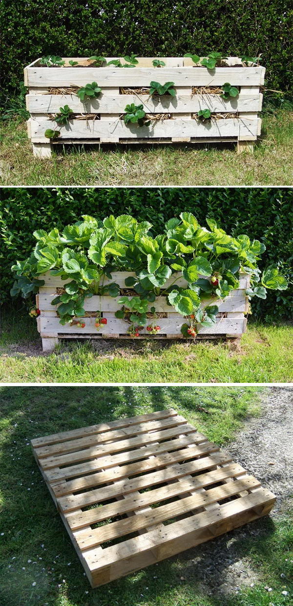 15 DIY Garden Planter Ideas Using Wood Pallets - Hative