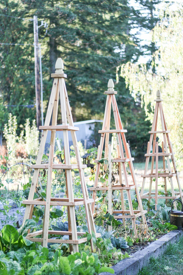 20+ Awesome DIY Garden Trellis Projects - Hative