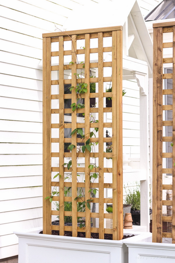 20 Awesome Diy Garden Trellis Projects Hative