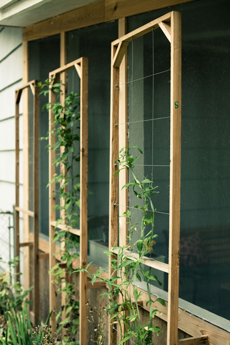 20 Awesome Diy Garden Trellis Projects Hative