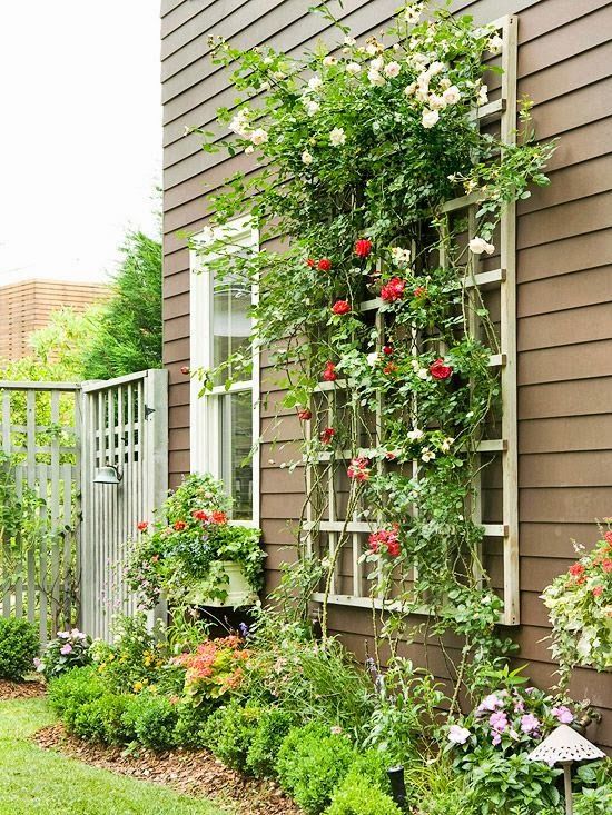 20+ Awesome DIY Garden Trellis Projects Hative