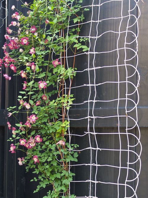 20 Awesome DIY Garden Trellis Projects Hative