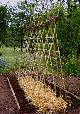 20 Awesome Diy Garden Trellis Projects Hative