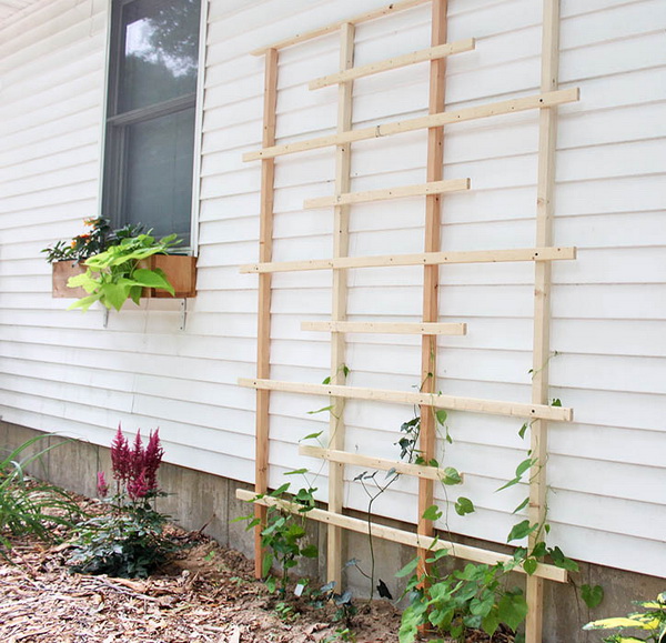 20 Awesome Diy Garden Trellis Projects Hative