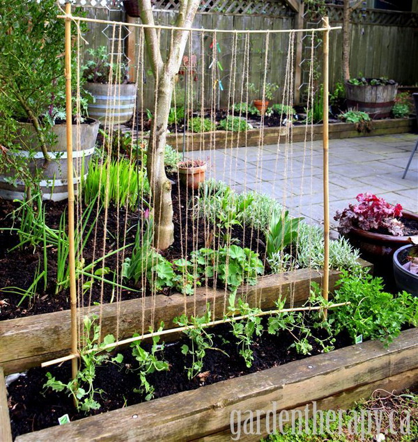 20+ Awesome DIY Garden Trellis Projects - Hative