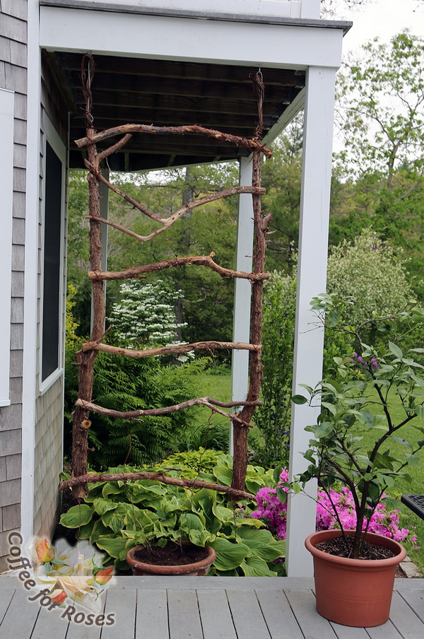 20+ Awesome DIY Garden Trellis Projects Hative