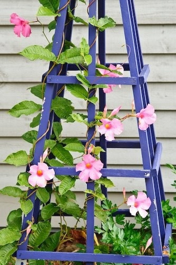 20+ Awesome DIY Garden Trellis Projects Hative