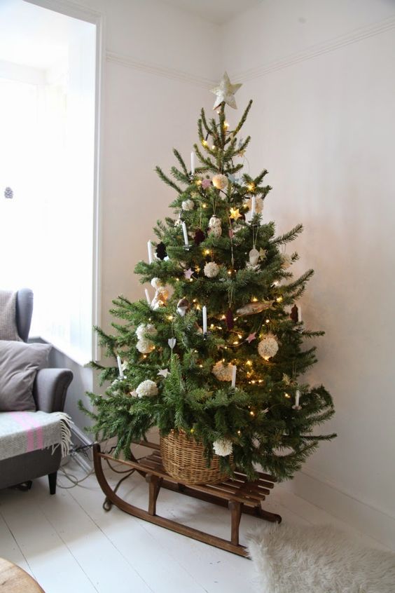 Christmas Tree On A Sleigh. 