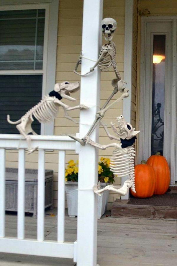 halloween porch funny dogs skeleton decorations dog human doors signs mummies hate decor decorating hative happy why pallet