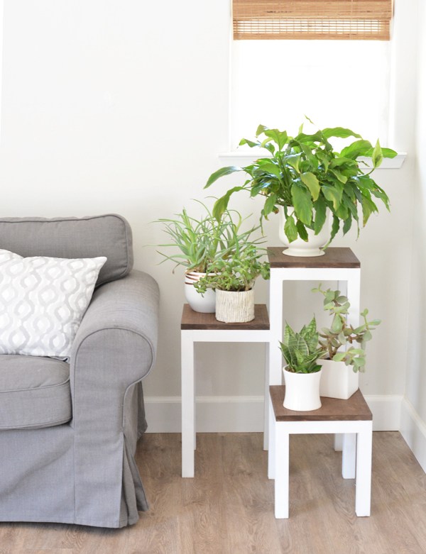 25+ DIY Plant Stands With Thrift Store Finds - Hative