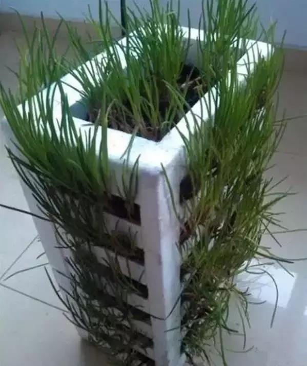 Easy DIY Planter Made Out Of Foam Box 