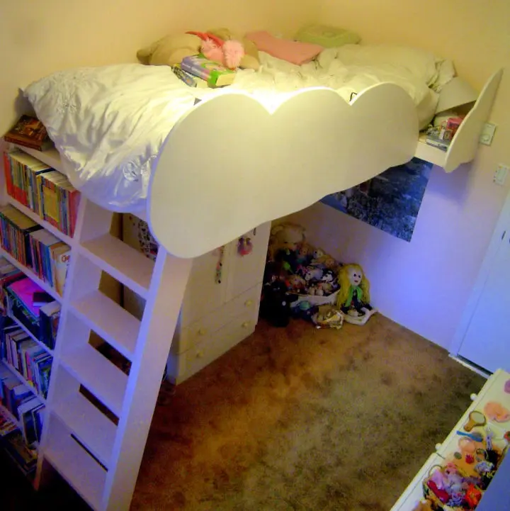 Loft Bed With Bookshelf Ladder. 