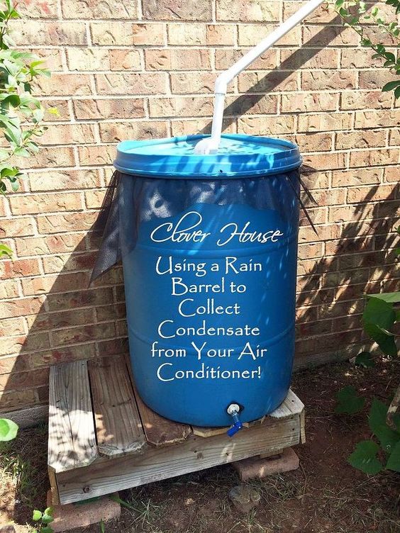 Rain Barrels. 