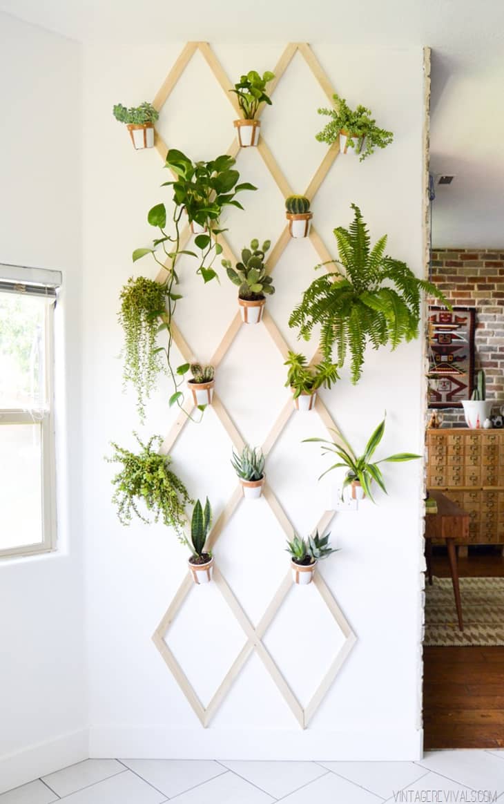 Vertical Garden for Living Room Wall. 