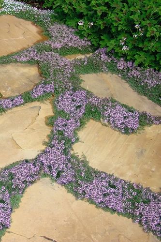 Inexpensive Stepping Stone Walkway Ideas. 