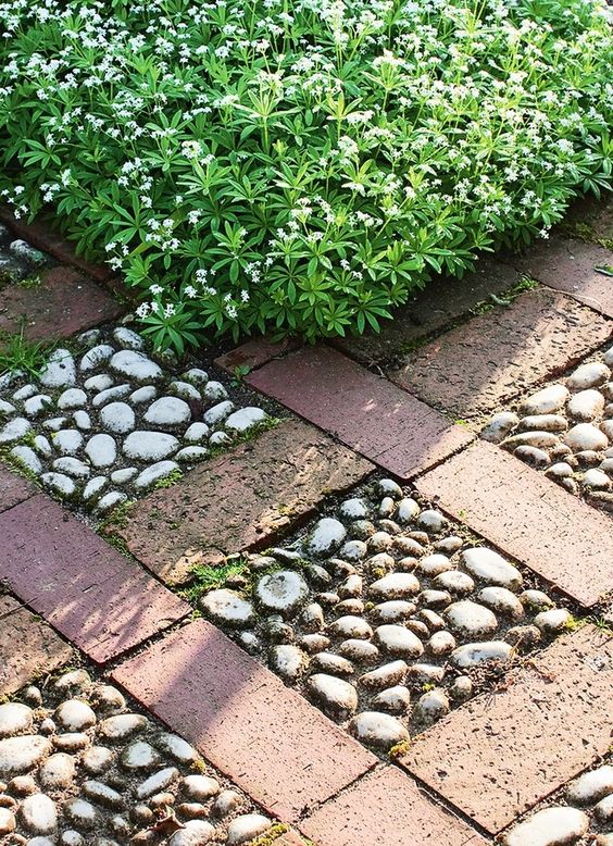 Inexpensive Stepping Stone Walkway Ideas. 