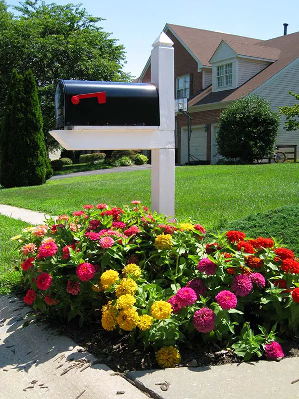 Flower Bed Around Mailbox. 