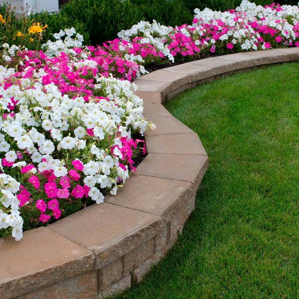 Flower Beds Along a Stone Wall. 