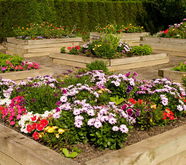 Square Raised Flower Bed. 